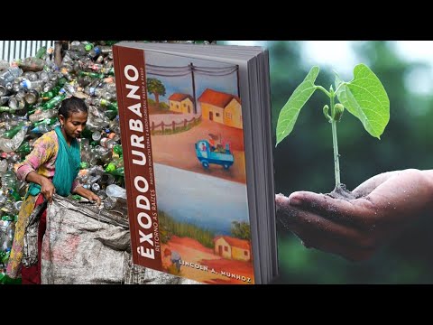 O LIVRO QUE REVISOU MINHA VIDA