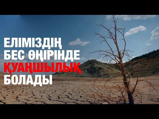 ЖАҢАЛЫҚТАР. 20.06.2024 күнгі шығарылым