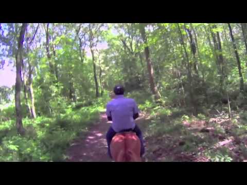 Veybachhof ... mit Gitta ...