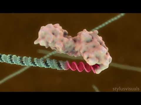 Dicer Animation featured by the MoMA