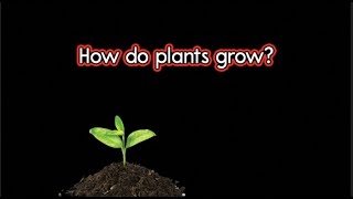 Growing Seeds into Plants Kids animated Song and Read aloud story - CVI friendly Low Vision gameplay video by BCCFA.SOT, 3:39 duration