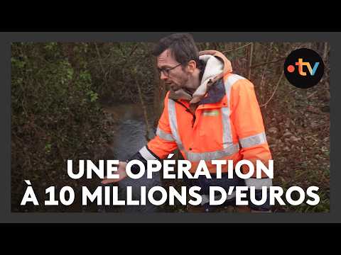 Les cours d'eau remodelés pour prévenir les inondations