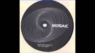 Downlink - Fly Into Light