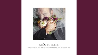Posesión por Seguiriyas Lyrics English Translation