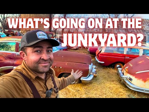 What's Going on at the Junkyard? I Answer Some of Your Biggest Questions from 2025!