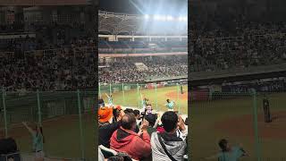 【TeamTaiwan】#勝利飛船 #衣宸 #包子 #禹菡 #冬季聯盟@斗六棒球場 20241130 #台湾チア #啦啦隊  #cheerdance #cheerleader #cpbl #awb