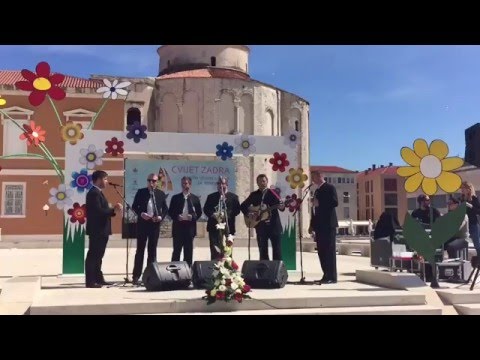 Nastup Klape Kožino na Forumu - Vrtna izložba cvijeća „Cvijet Zadra“