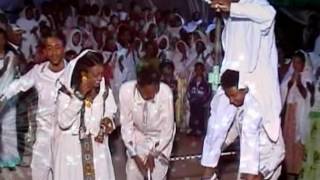 Eritrean wedding guayla 2017