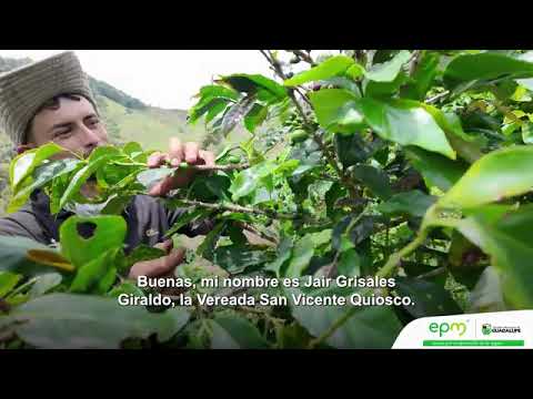 Proceso de Café Convenio EPM - Guadalupe 