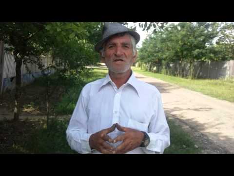 Ionel Tocan - poetul gradinar de la Barca