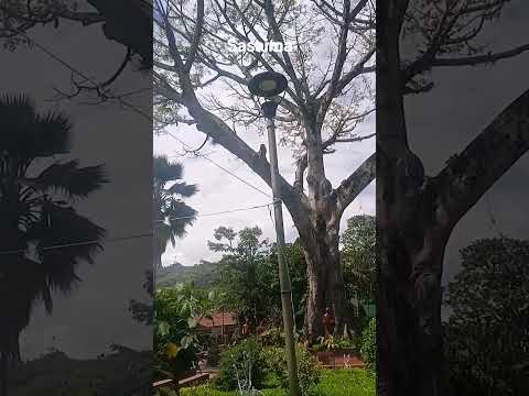 #colombia #cundinamarca #sasaima