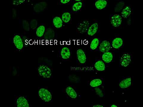 Drk Poet & Kreiml - Ois gsogt