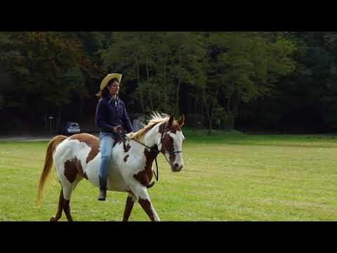 CAVALCAILVENTO - CAVALCARE IN LIBERTA'