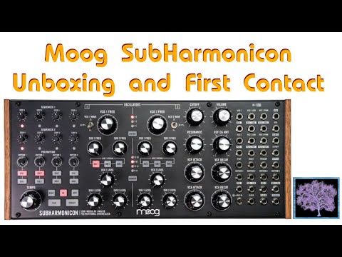 Moog Subharmonicon Unboxing and First Contact