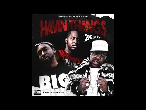 Teddy-T Feat. Big Mike & Pimp C-Havin Thangs 2K20(Produced By Like O Productions) (Official Audio)