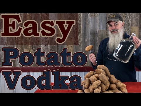 Wie man Kartoffelwodka für Anfänger macht