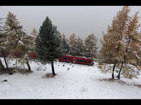 Ferrovia Rética nas paisagens de Bernina. De St Moritz à estação Alp Grüm e vice-versa