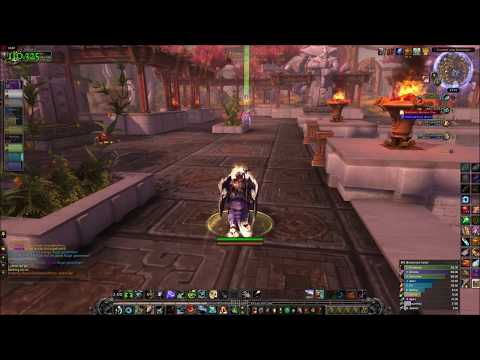 Sanndylee - WoW Legion 7.3.2 PVP BG MM Hunter