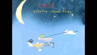 Maarten Dreyer - Electro Shock Blues (EELS cover)