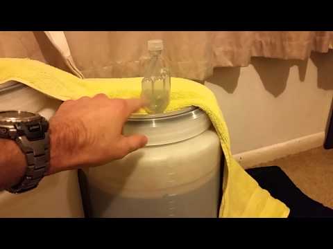 HBW #82 - Stout Update