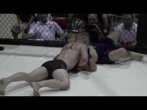 Highfill vs  Poinar 2