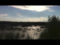 BULDOG - Deszcz Jesienny (wersja przedpłytowa ...