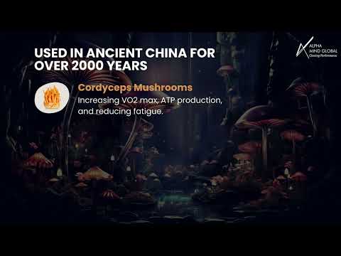 Alpha Power Mushrooms: Boost Immunity, Energy, and Vitality Naturally | Alpha Mind Global