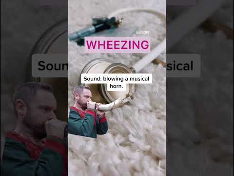 🫁 LUNGS SOUNDS 🫁 #nurse #medical #nclex #nursingstudent #nursingschool #nursingnotes #nursing #med