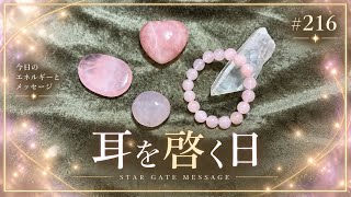 【雑談ラジオ📻✨】妖精ちゃん🧚見える？😳たくさん映ってるんだってさ😍| 秋分の日に決意したこと‼️