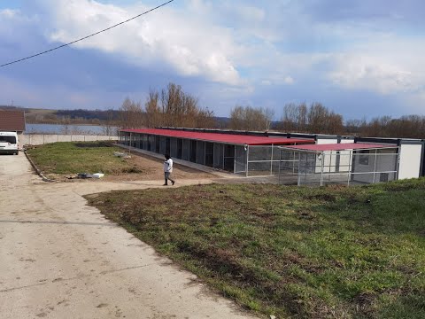 Crowdfunding Hundehilfe Ungarn