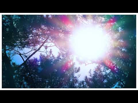 【能代市】風の松原