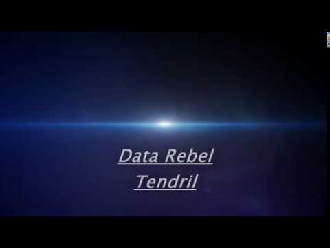 Data Rebel   ~ Tendril