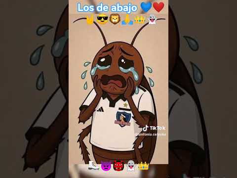 #antofagasta #losdeabajo #daleleon #realg4life #valparaisochile #ovalle #tocopilla #carepipa #reel