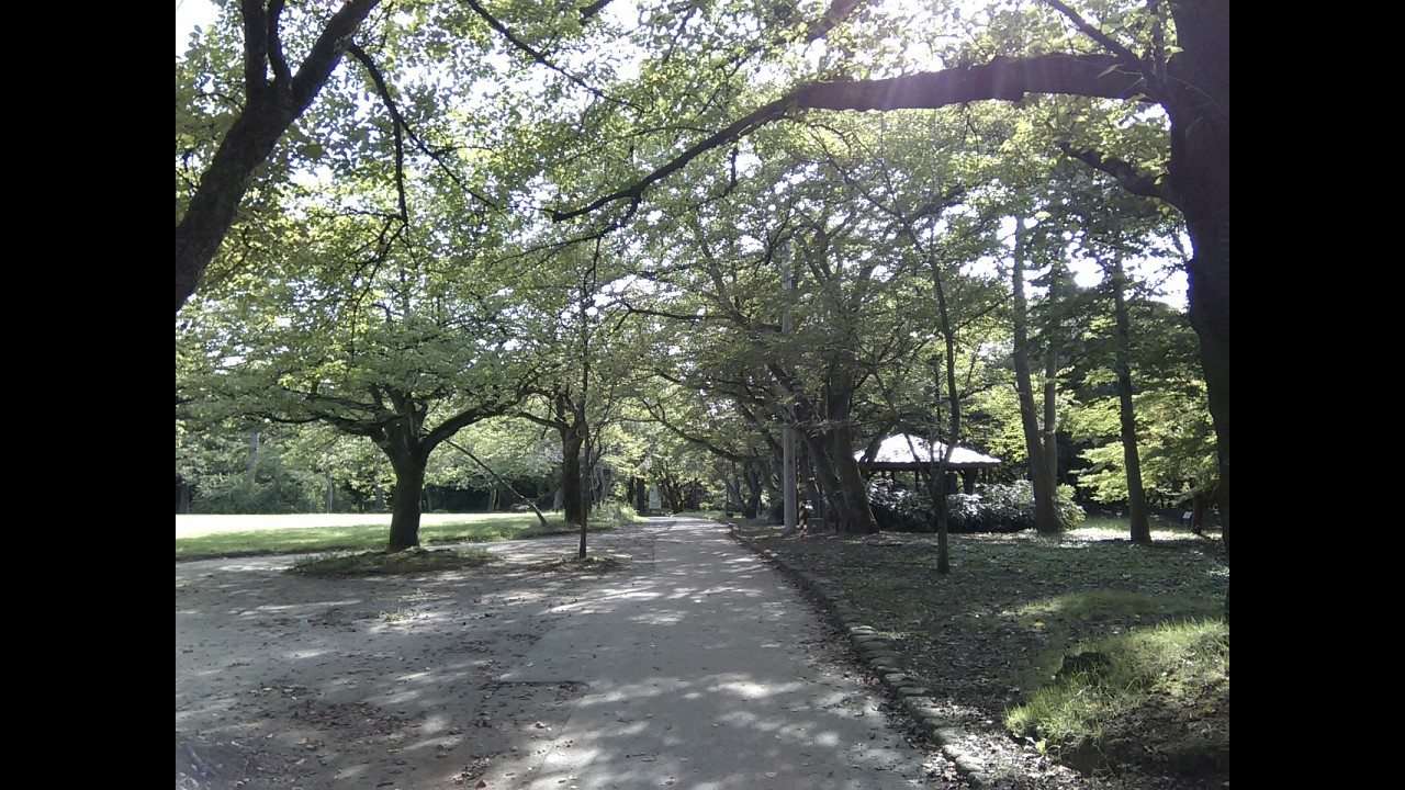 インフレ時代に得している日本人【チート級の確変期に突入】