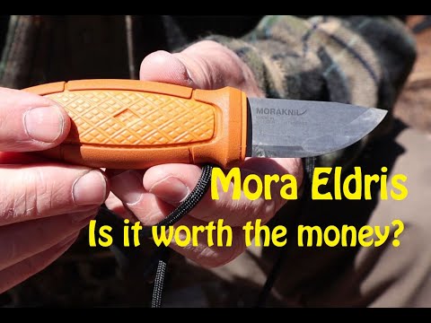 Mora Eldris - Is it Worth the Money?