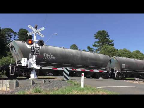 Level Crossing, Robertson (Meryla St) NSW, Australia.