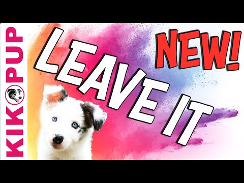 STOP UNWANTED behaviors with BACK UP