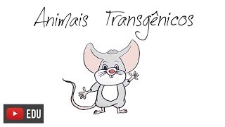 How are transgenic animals made?