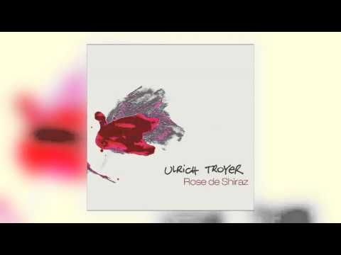 10 Ulrich Troyer - Suye Man [4Bit Productions]