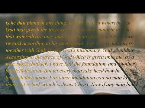 The Holy Bible | book 46 - 1 Corinthians - Chapter 03