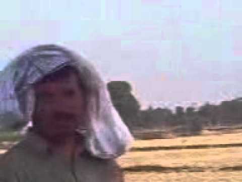 munir Gondal wid his dog 2