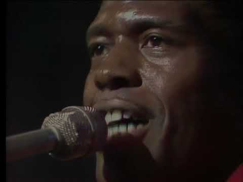 MESSING WITH THE BLUES/MUDDY WATERS-BUDDY GUY-JR.WELLS