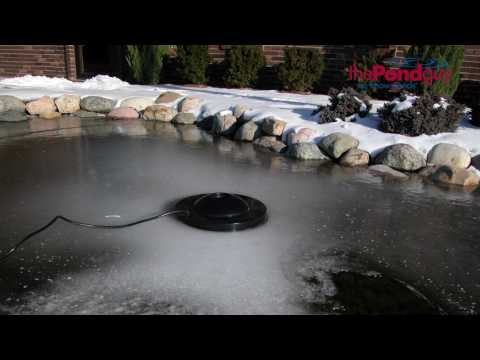 Water Garden De-Icer - Protects Fish All Winter - How to Choose a Pond De-Icer