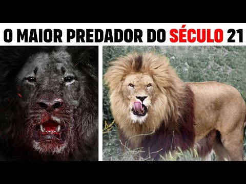 The Shadow in the Savannah: OSAMA THE LION WHO ATE 50 PEOPLE