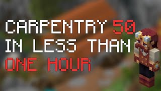 How to get CARPENTRY 50 In Less Than ONE HOUR - Hypixel Skyblock