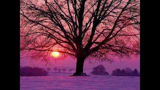 Dakota Suite - Second Hand Light (emanuele errante remix)