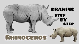 to Draw a Rhinoceros Step by Step 🦏 | Easy Animal Drawing Tutorial