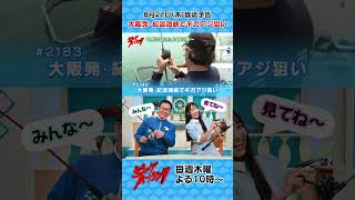 【8/27㊍22:00～OA予告】「大阪発・紀淡海峡でギガアジ狙い」お見逃しなく！ #ビッグフィッシング