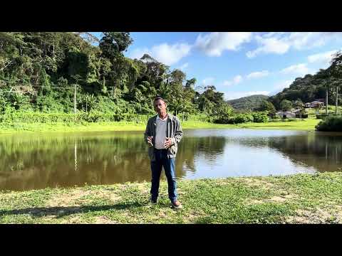 Cultivo de café em Pacoti, Ceará 