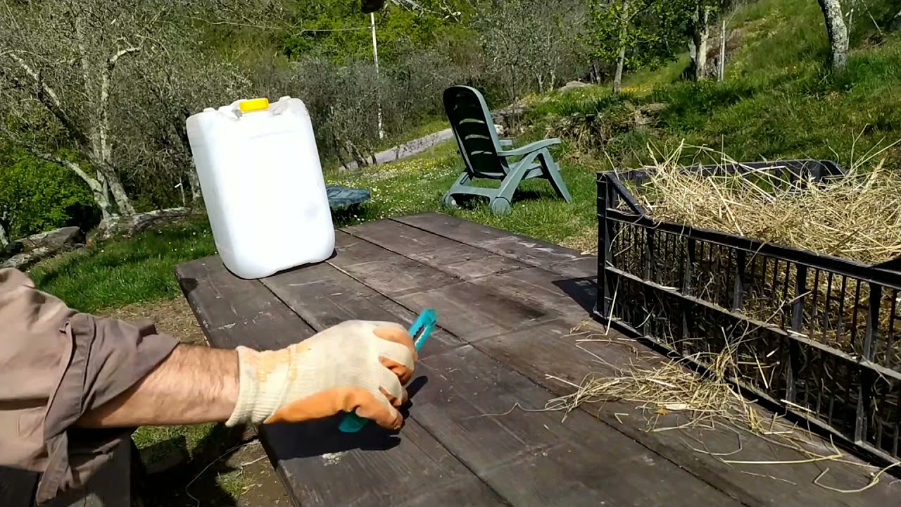 Come realizzare nidi per la galline